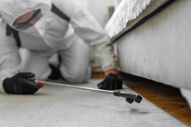 Professional Bed Bug Control technician working in Ucon, ID