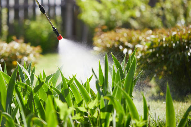 24/7 Emergency Bed Bug Control experts in Ucon, ID
