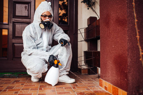 Reliable Bed Bug Control contractor in Ucon, ID by Nex Pest Control